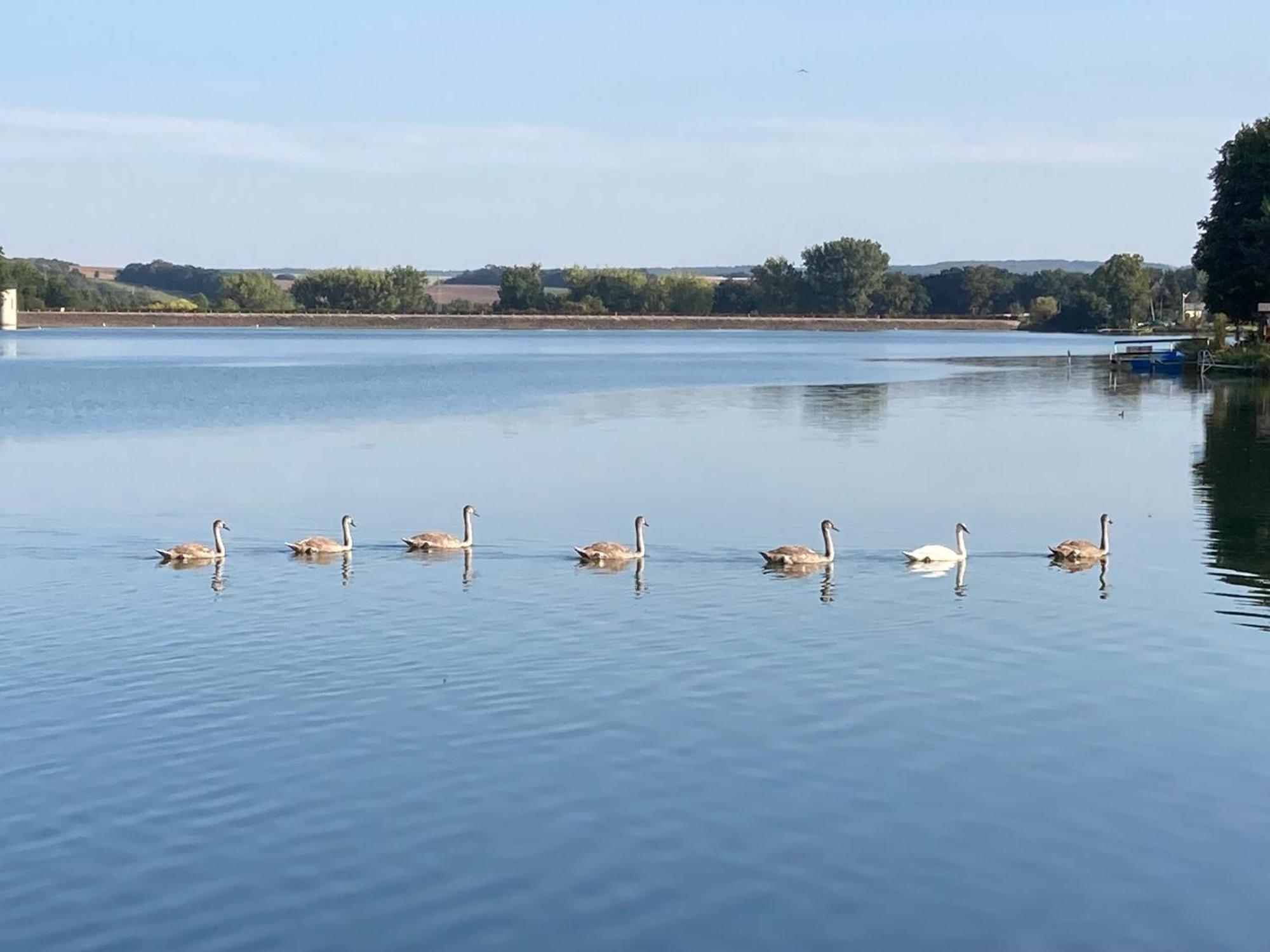 Campingfass Mit Panoramaterrasse Langenbernsdorf Екстер'єр фото